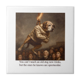 You can’t teach an old dog new tricks kakelplatta