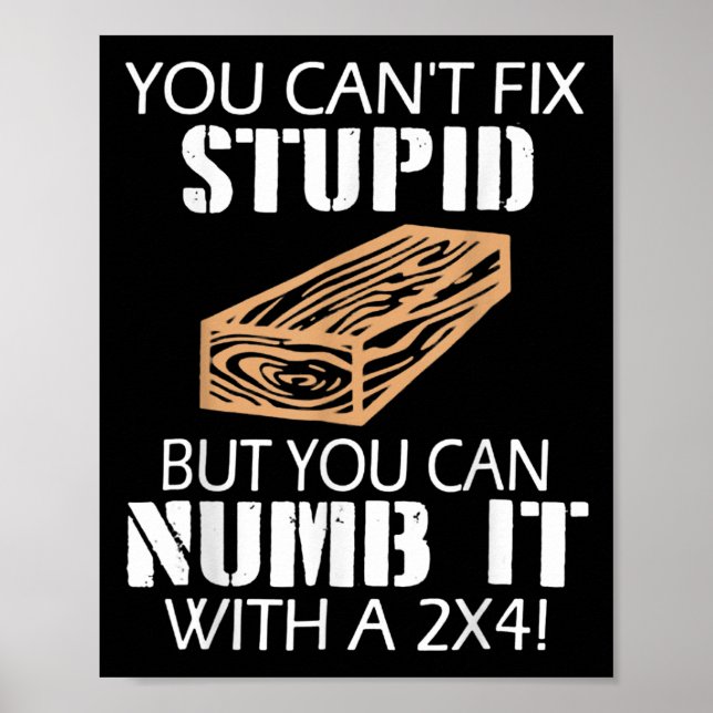 You Can't Fix Stud But You Can Numb It With A 2x4  Poster (Framsidan)