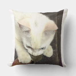 You Got Me!, Funny Anniversary Throw Pillow Kudde
