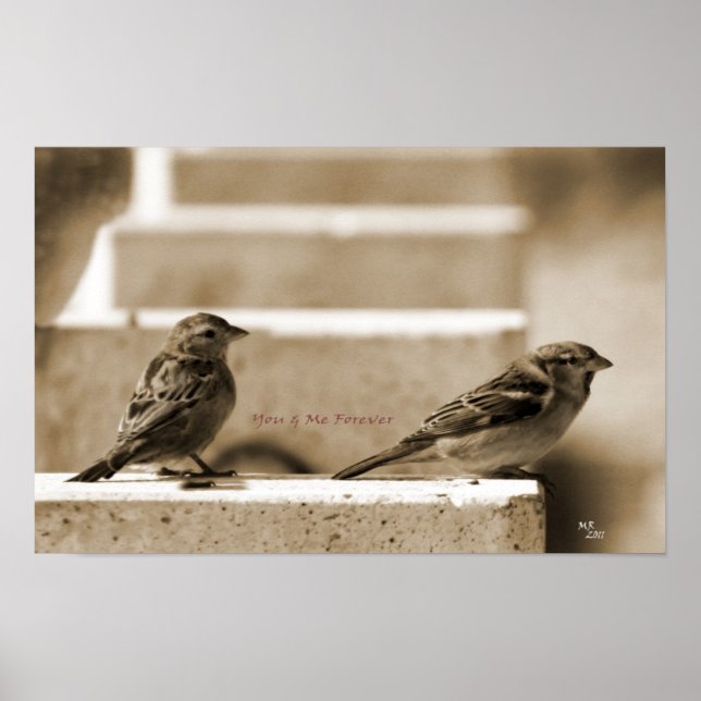 You & Me For Ever Poster (Framsidan)