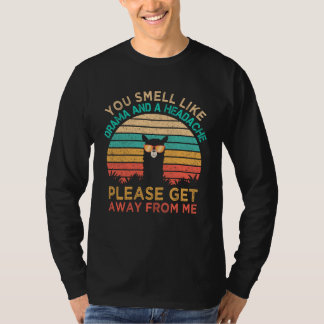 You Smell Like Drama And A Headache Please Get Awa T Shirt