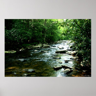Youghiogheny River Skriv ut Poster