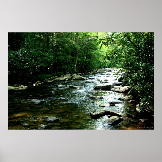 Youghiogheny River Skriv ut Poster (Framsidan)
