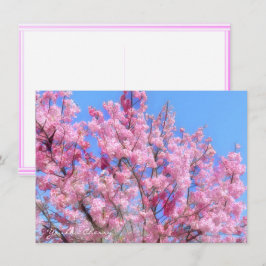 Youkou Cherry: Flat Card