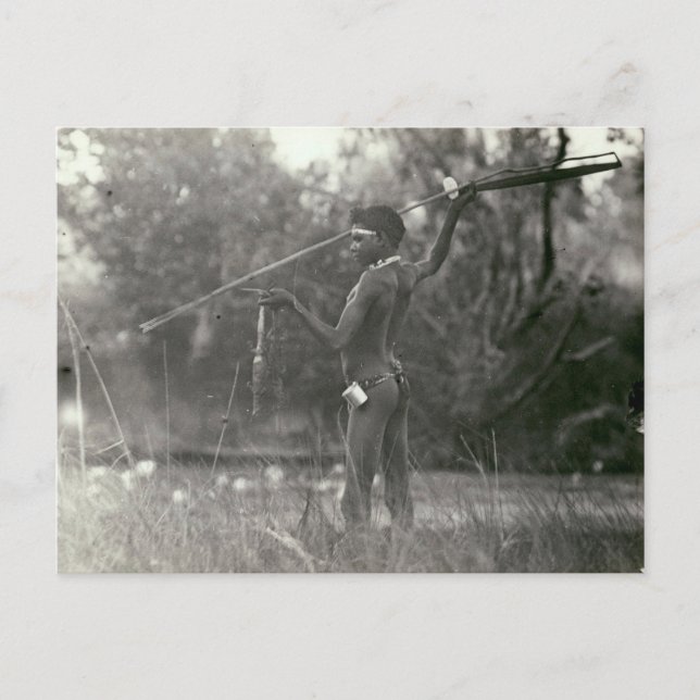 Young Aboriginal-huter med spjut och koma Vykort (Framsida)