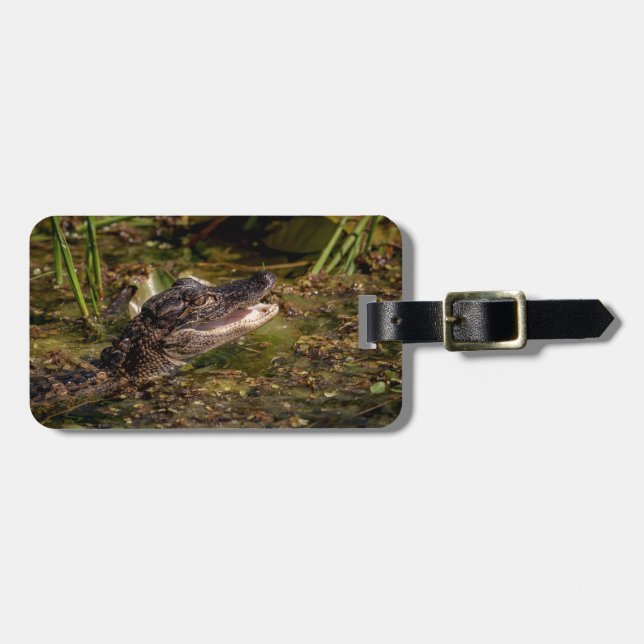 Young Alligator Bagagebricka (Horisontell Framsida)