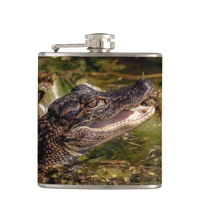 Young Alligator Fickplunta (Framsidan)
