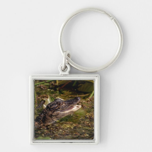 Young Alligator Fyrkantig Silverfärgad Nyckelring (Framsidan)