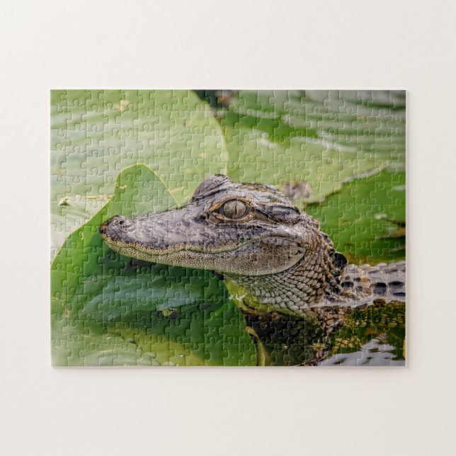 Young Alligator Pussel (Horisontell)