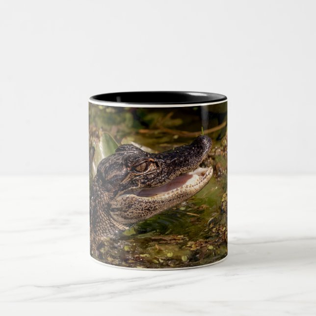 Young Alligator Två-Tonad Mugg (Center)
