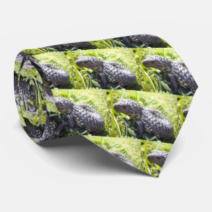 Young Australian Blue Tunga Lizard Slips