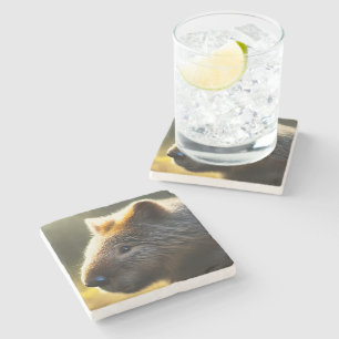 Young Australian Wombat, Stone Underlägg