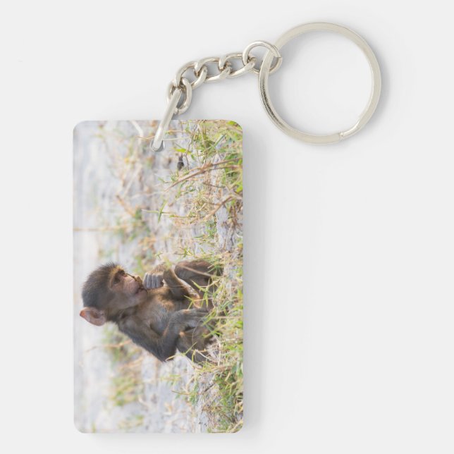 Young Baboon (Baksidan)