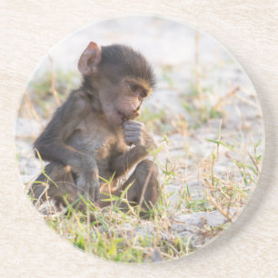 Young Baboon Underlägg