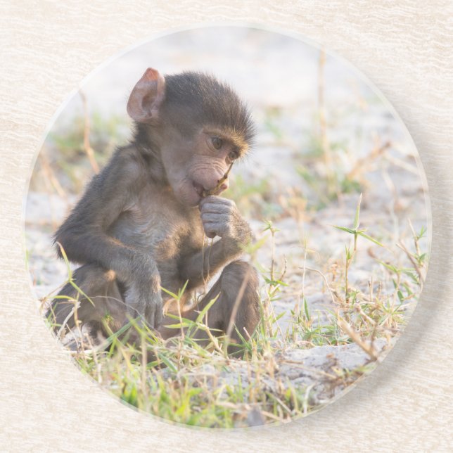 Young Baboon Underlägg (Framsidan)