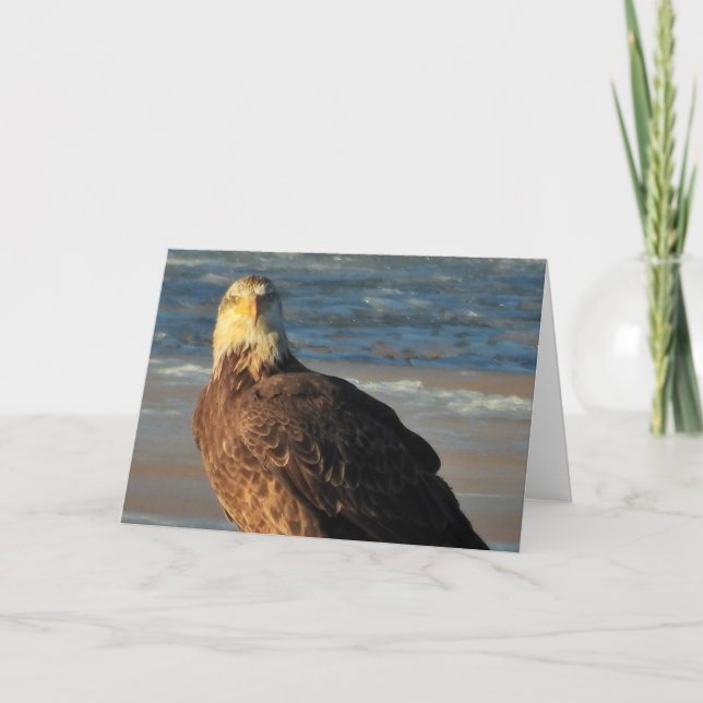 Young Bald Eagle on the Beach Birthday Card Kort (Framsida)