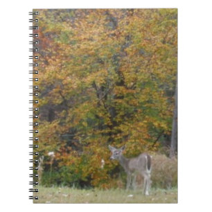 Young Bambi Hjort med fall träd. Anteckningsbok Med Spiral