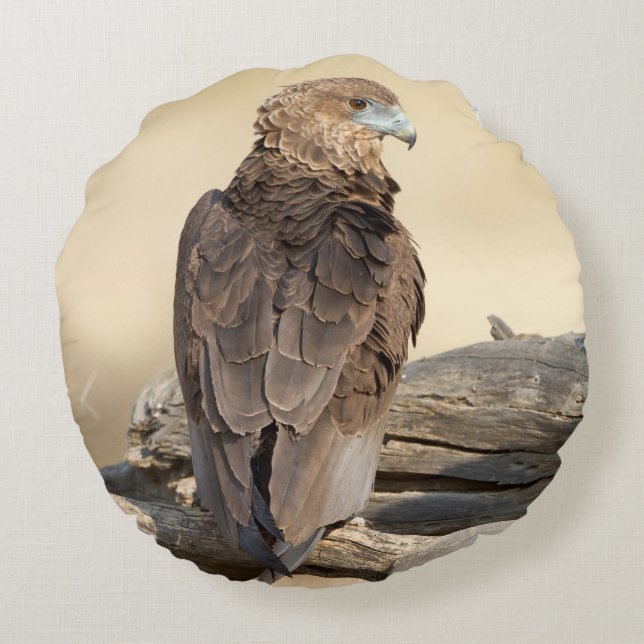 Young Bateleur Rund Kudde (Baksidan)