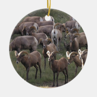 Young Bighorn Sheep Julgransprydnad Keramik