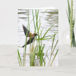 Young Bird in Flight Kort