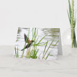 Young Bird in Flight Kort