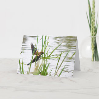 Young Bird in Flight Kort