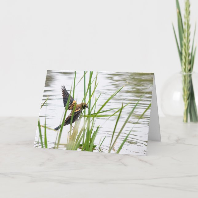 Young Bird in Flight Kort (Framsida)