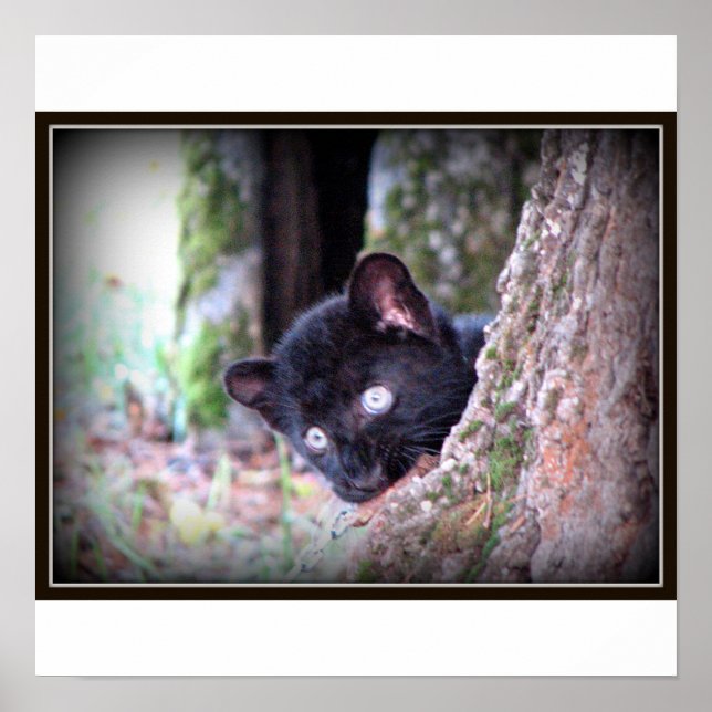 Young Black Leopard Print Poster (Framsidan)