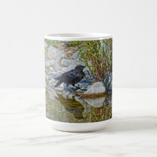Young Black Raven reflekterad i Bassäng Kaffemugg