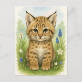 Young Bobcat Kitten Cat Baby Vilda djur vykort