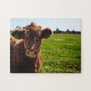 Young Brown Cow i Pasture Fält Pussel