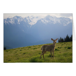 Young Buck and Mt. Olympus Peaks Hälsningskort