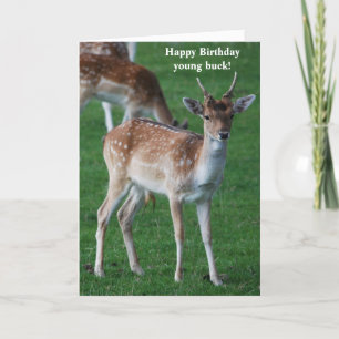 Young Buck Birthday-kort Kort