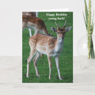 Young Buck Birthday-kort Kort
