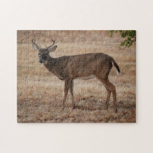 Young Buck Hjort Texas Meadow Art Puzzle Pussel