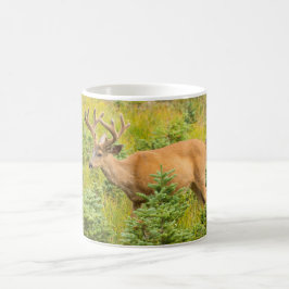 Young buck kaffemugg