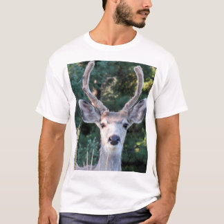 Young Buck Shirt T Shirt