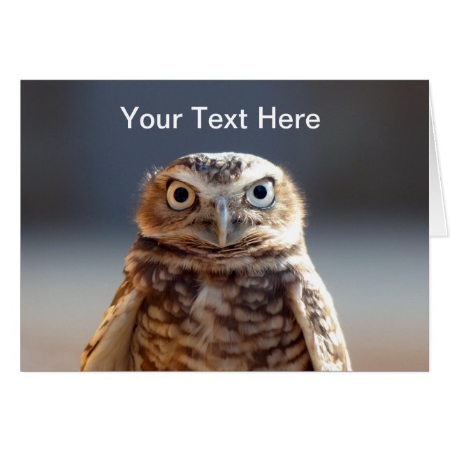 Young Burrowing Uggla Hälsningskort (Framsidan Horizontal)