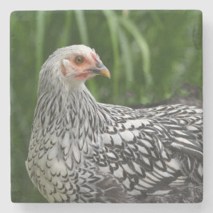 Young Chicken Stenunderlägg