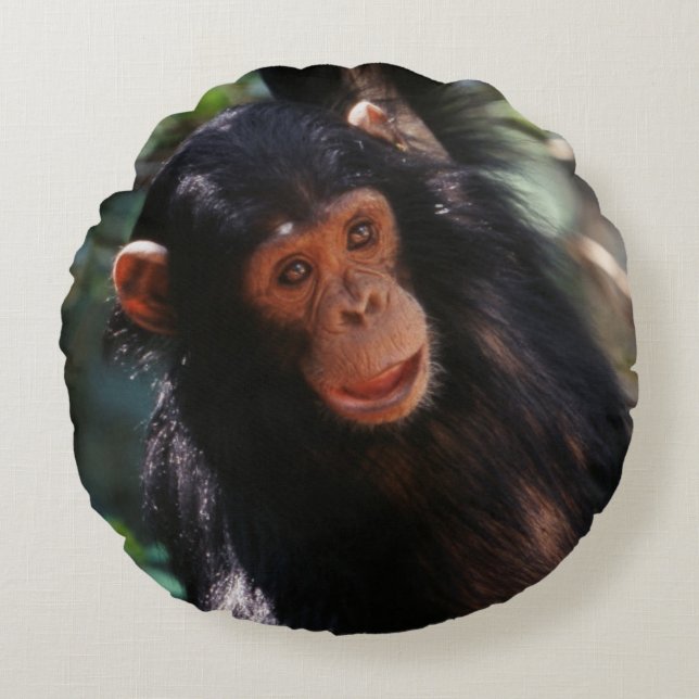Young Chimpanzee Rund Kudde (Framsidan)