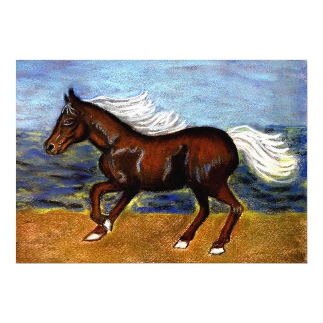 Young Colt Fototryck (Framsidan)