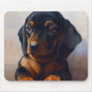 Young Dachshund av Carl Reichert Musmatta