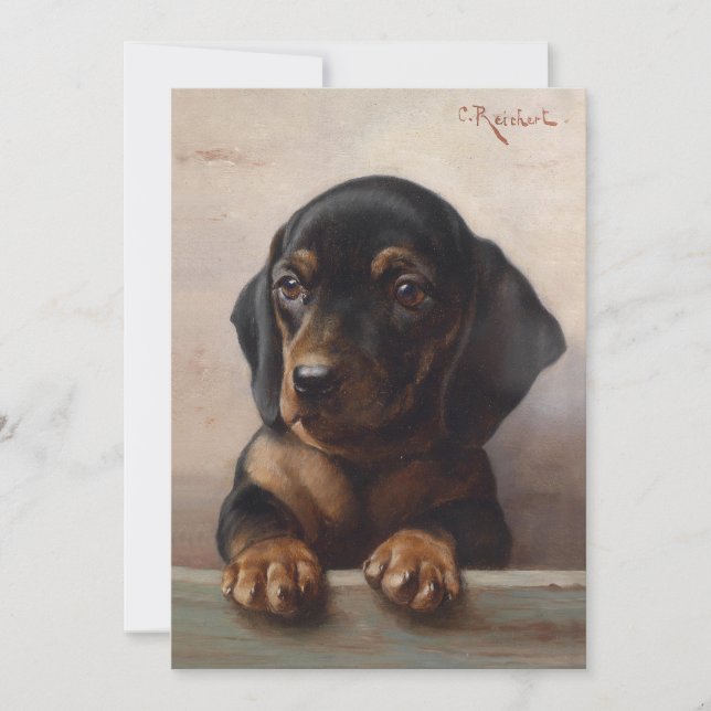 Young Dachshund | Carl Reichert (Framsida)