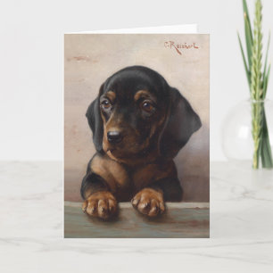 Young Dachshund Carl Reichert Kort