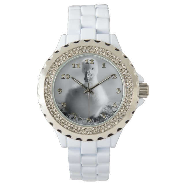 Young Duckling Svan Armbandsur (Framsida)