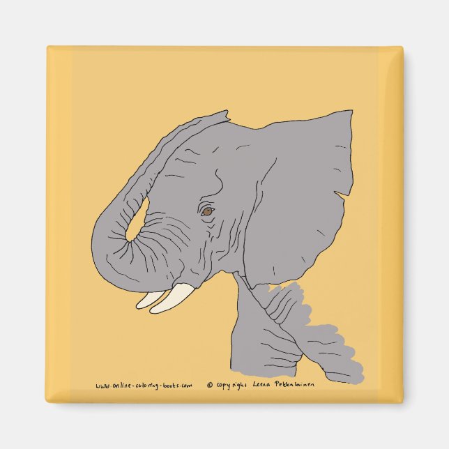 Young Elephant Magnet (Framsidan)