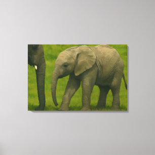 Young Elephant with Guardian in Grassy Reserve Canvastryck