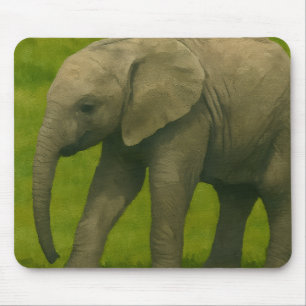 Young Elephant with Guardian in Grassy Reserve Musmatta