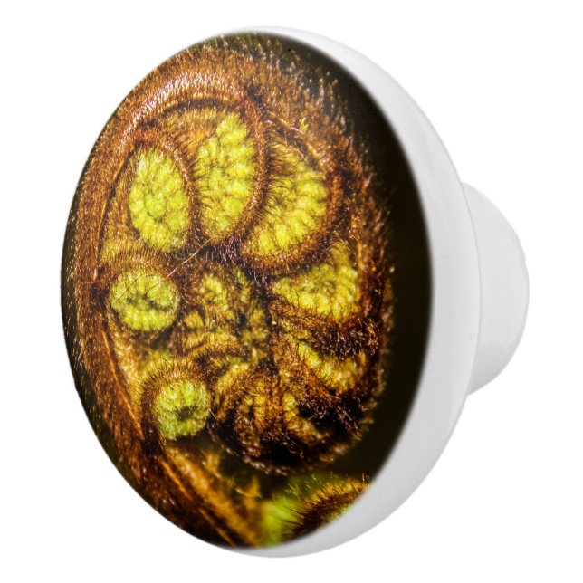 Young Fern Lövs Knopp (Höger)