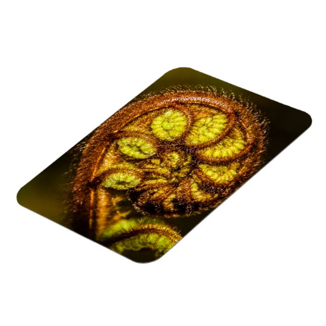 Young Fern Lövs Magnet (Vänstra Sidan)